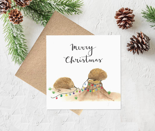 Watercolour Christmas Card - Echidnas