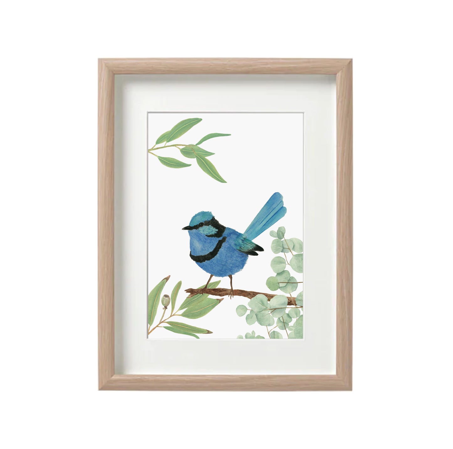 Fairy Wren Watercolour Print