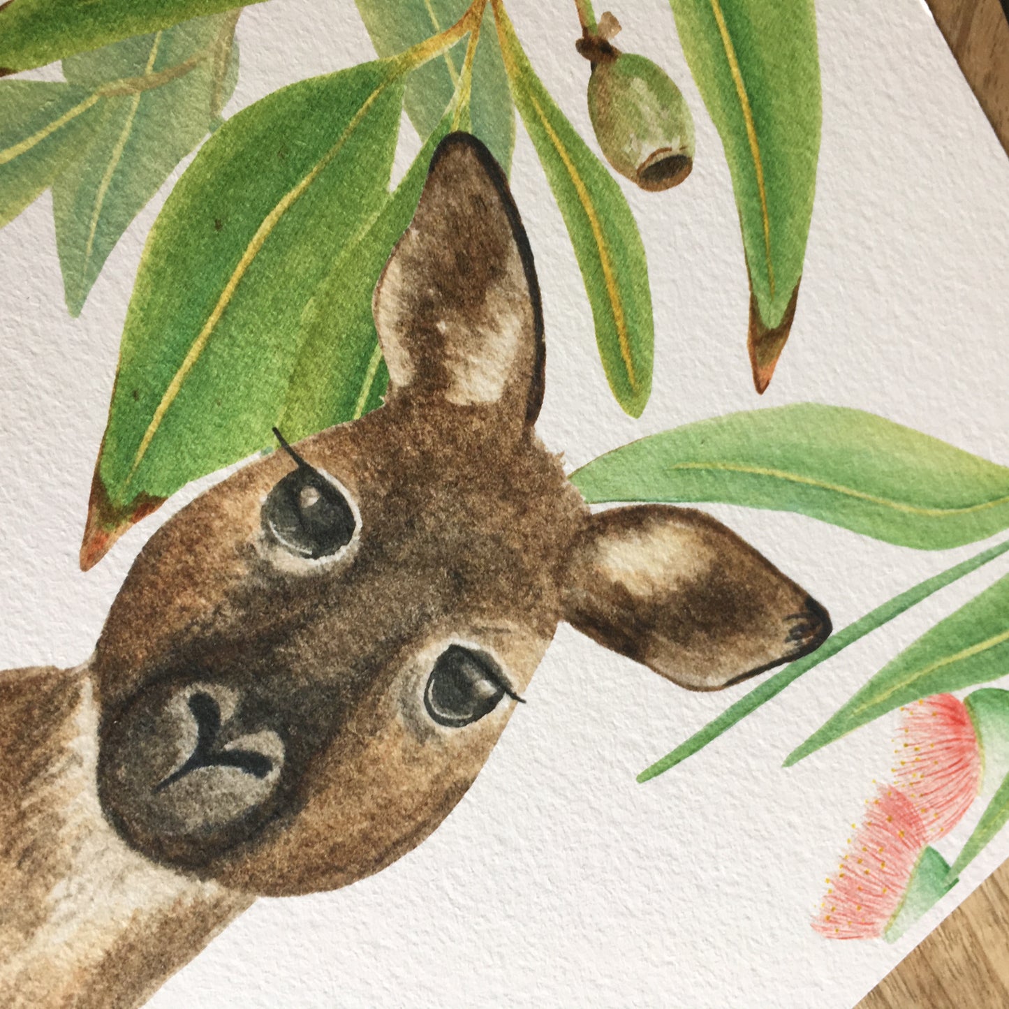 Kangaroo Watercolour Print