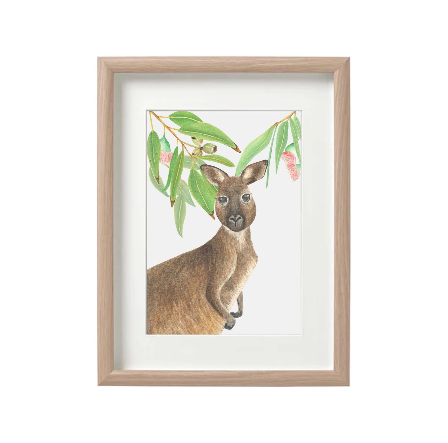 Kangaroo Watercolour Print