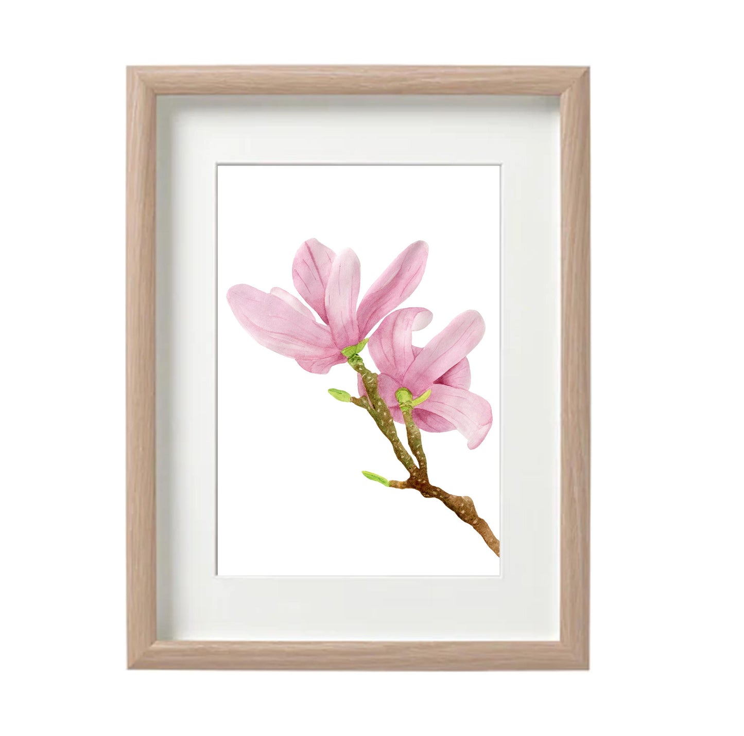 Magnolia Watercolour Print