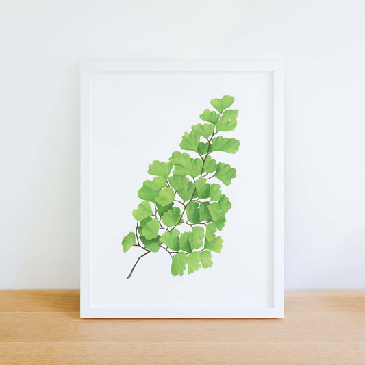 Maidenhair Fern Watercolour Print