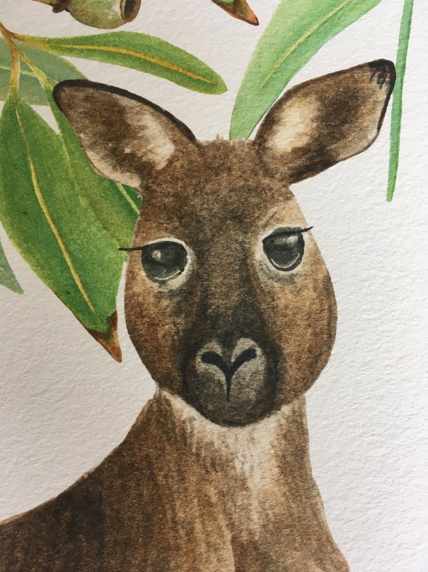 Koala and Kangaroo Set of 2 Watercolour Prints