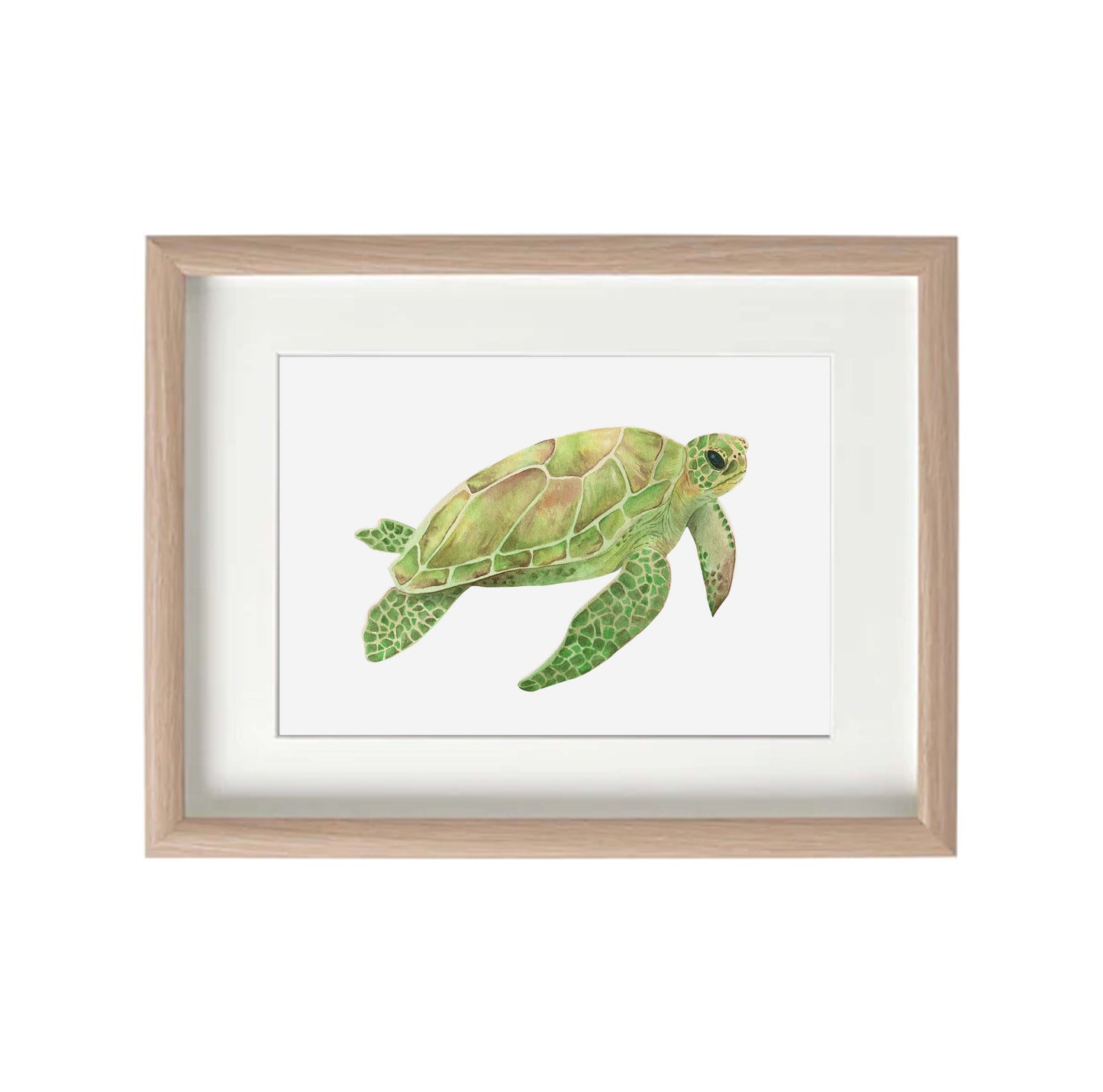 Turtle Watercolour Print